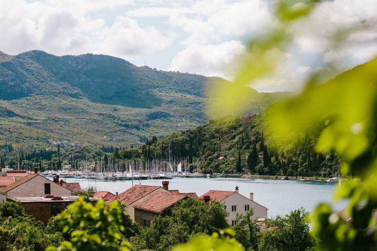 Dubravka Apartmani Mokosica Bagian luar foto